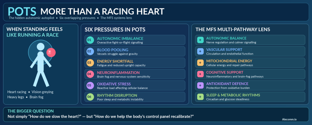 Infographic: POTS as the body's autopilot losing calibration, and how MFS supports balance, vessels, energy, focus and nerves